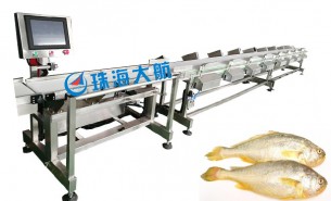 海產(chǎn)業(yè)騰飛，始于黃魚分選