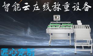 五金件自動稱重秤哪家好？