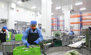蔬菜配重機：解決人工成本與效率問題，助力蔬菜加工發(fā)展